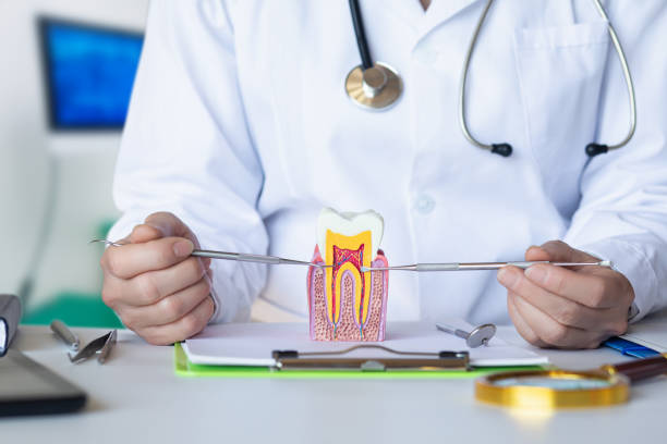 Best Emergency Root Canal Treatment in Cabot, AR
